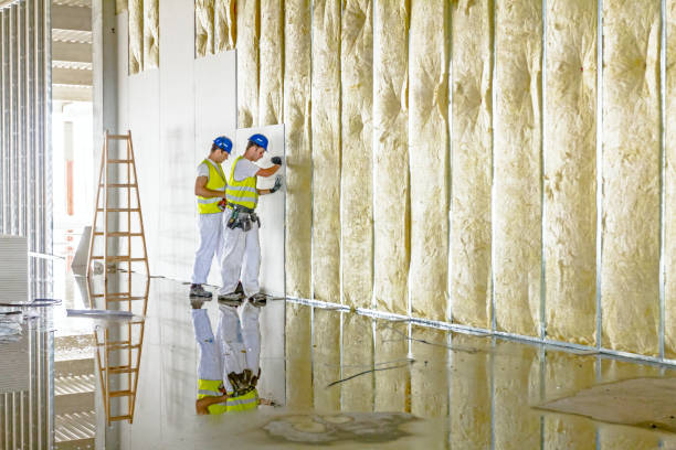 Best Insulation Maintenance and Repair in Gaylord, MI